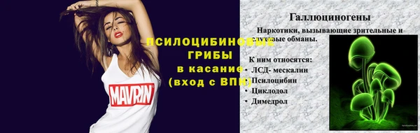 герыч Бронницы
