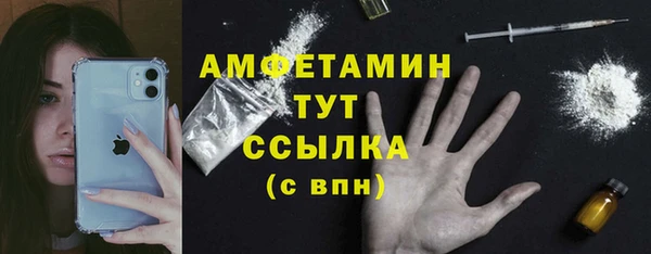 Альфа ПВП Верея