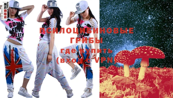 герыч Бронницы