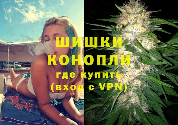 Альфа ПВП Верея