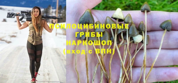 jwh Бородино